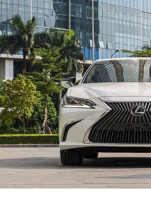   Đánh giá xe Lexus ES 250 2020: Sự kế thừa giá trị từ Lexus LS