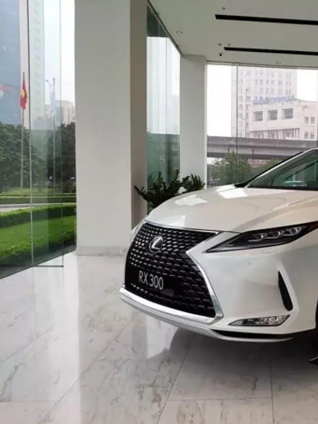   Lexus RX300 2023: Trải nghiệm SUV cỡ trung hoàn hảo