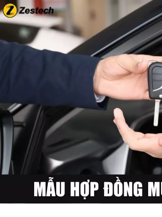   Hợp đồng mua bán xe ô tô: Bí quyết sang tên đổi chủ an toàn