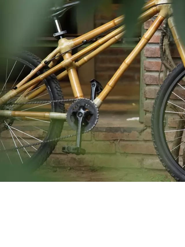   Những chiếc xe đạp tre của Viet Bamboo Bike: Sự hòa quyện giữa sáng tạo và bảo vệ môi trường