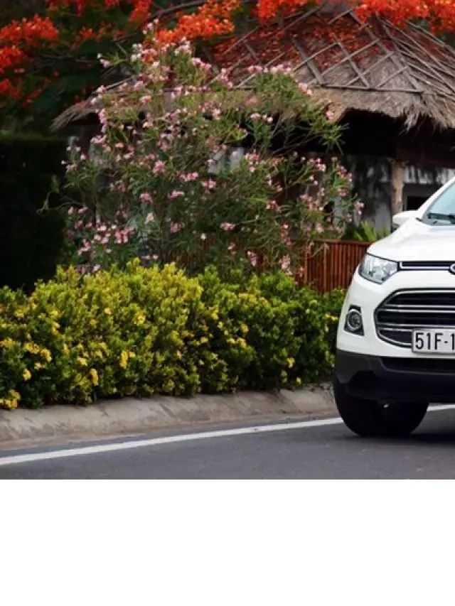   Ưu nhược điểm Ford EcoSport 2015-2016, SUV đô thị cỡ nhỏ