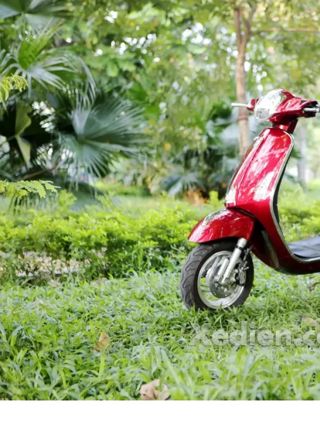   Xe Ga 50cc Nioshima: Sự lựa chọn tuyệt vời cho học sinh