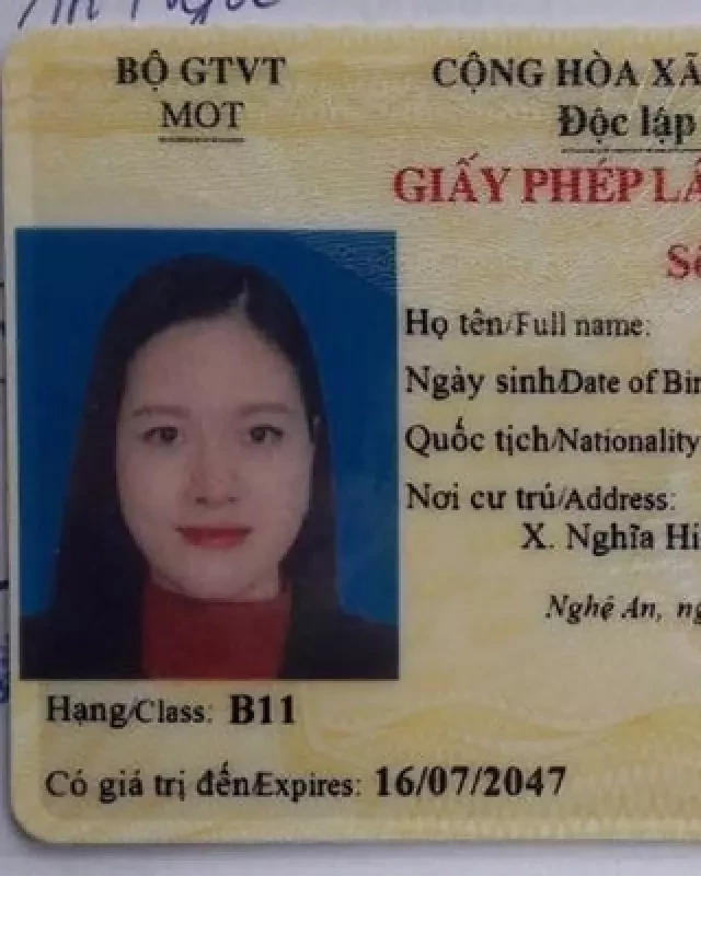   Giấy phép lái xe B1: Tìm hiểu về GPLX B1 và những điều cần biết