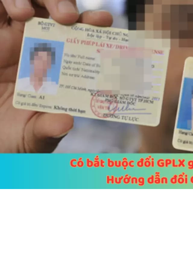   Có bắt buộc đổi GPLX giấy sang thẻ PET? Hướng dẫn đổi GPLX online