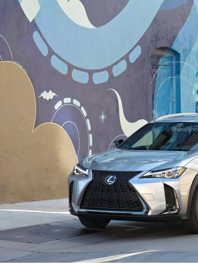   Lexus UX 2019: Giá bán và những tính năng ấn tượng