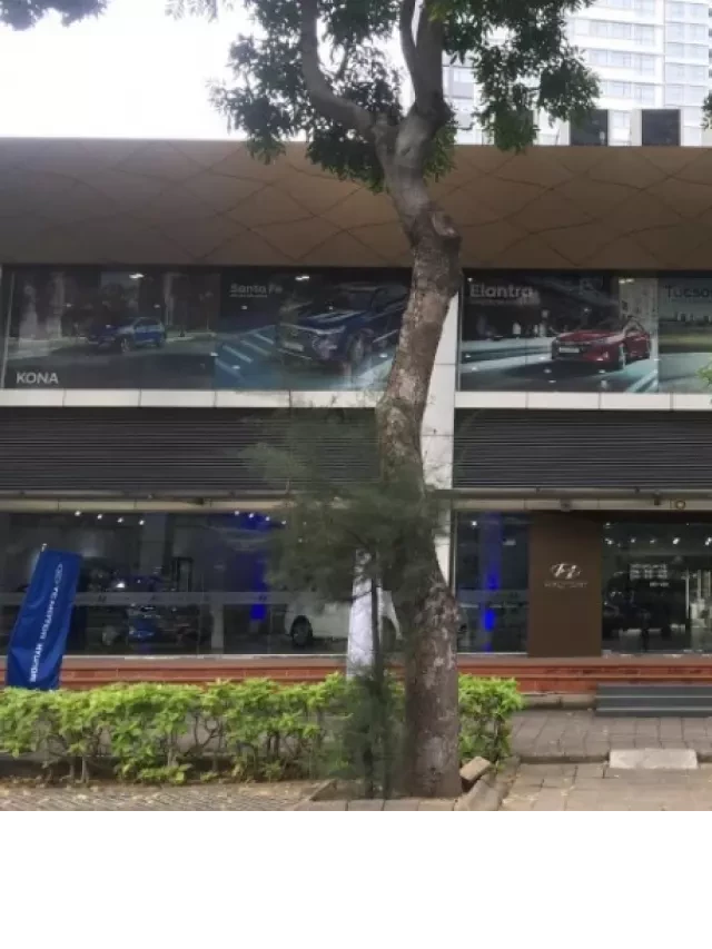   Showroom Hyundai An Phú: Khám phá Nơi Mua Xe Uy Tín và Chất Lượng