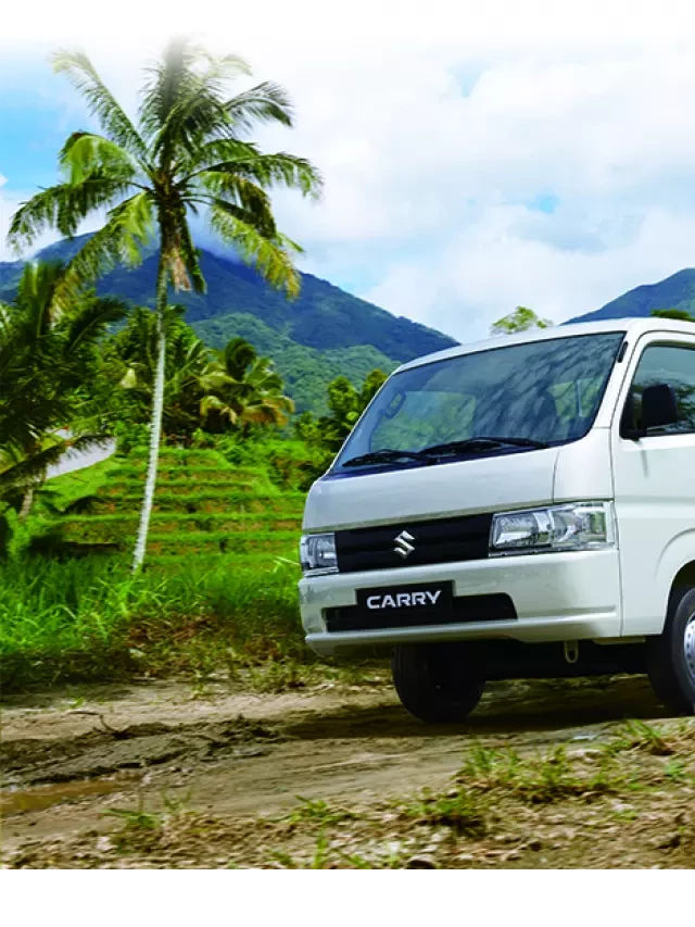   Suzuki Carry Pro: Đối tác vận chuyển đáng tin cậy của bạn