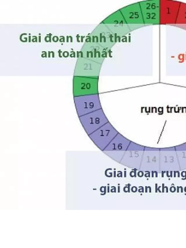   Tới tháng là gì: Cùng khám phá các giai đoạn trong chu kỳ tới tháng