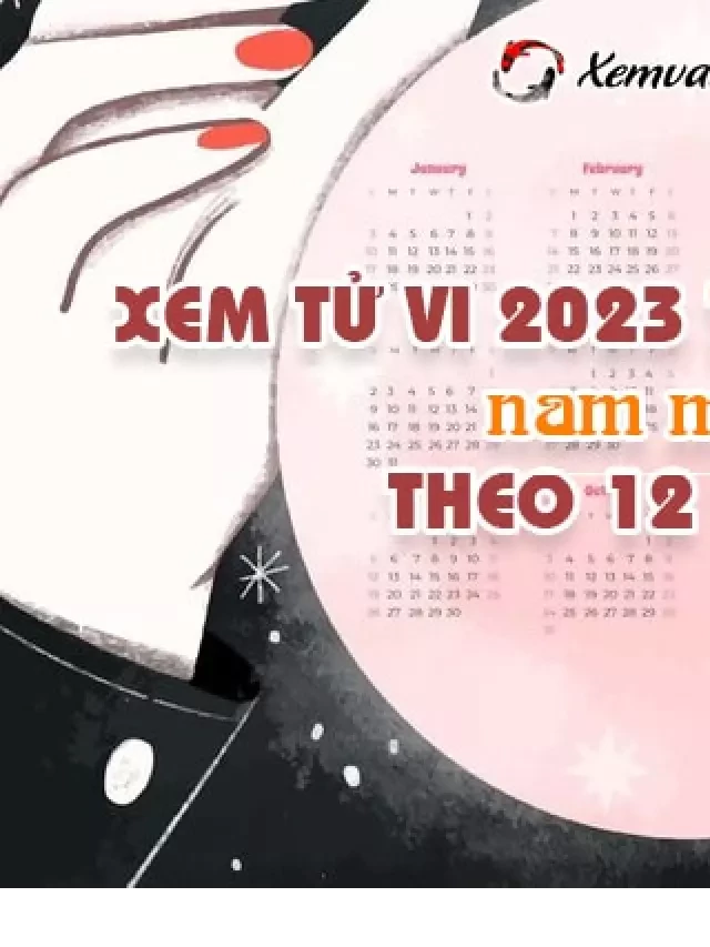   Xem tử vi tuổi Đinh Hợi năm 2023 nam mạng: Học Tập, Tình Duyên