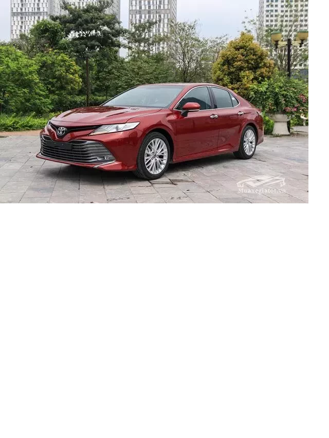   Toyota Camry 2019 cũ: Một Bước Nhảy Vọt Vượt Mọi Giới Hạn