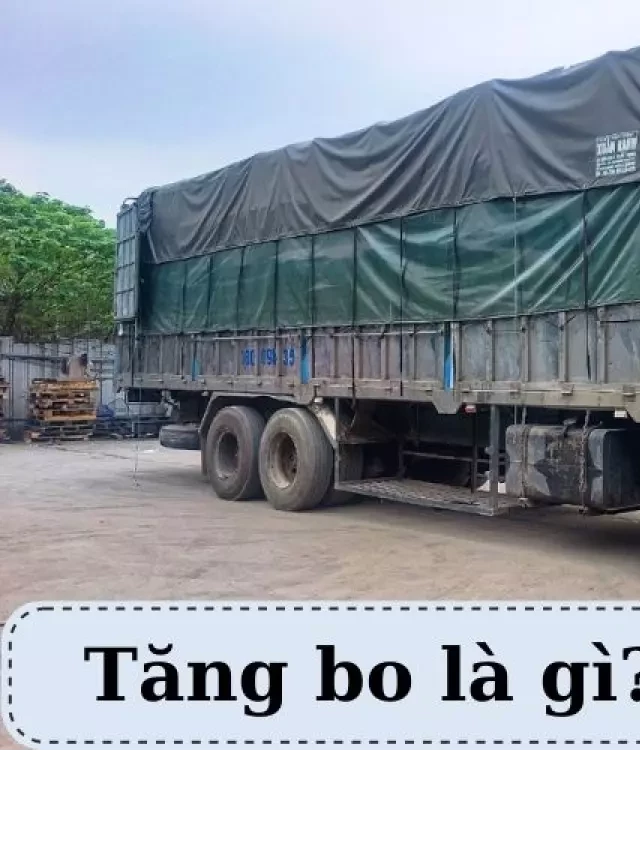   Tăng bo - Giải pháp vận chuyển hàng hóa linh hoạt và tiết kiệm