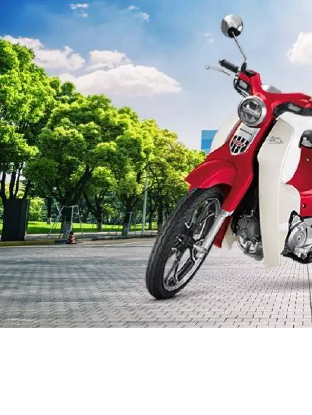   Mua Bán Xe Honda Cub Cũ Giá Rẻ, Uy Tín T2/2024