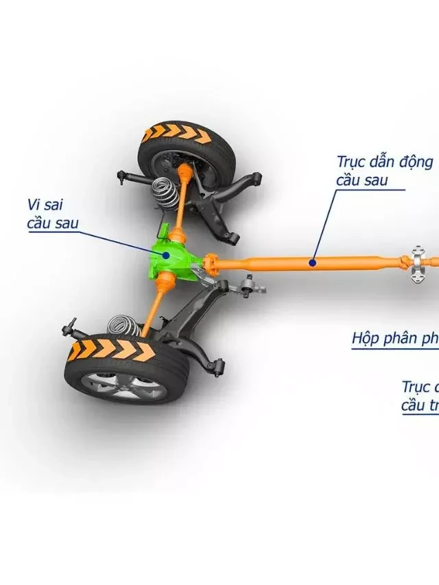   Vì sao vi sai ô tô lại cần thiết? Nguyên lý hoạt động và phân loại