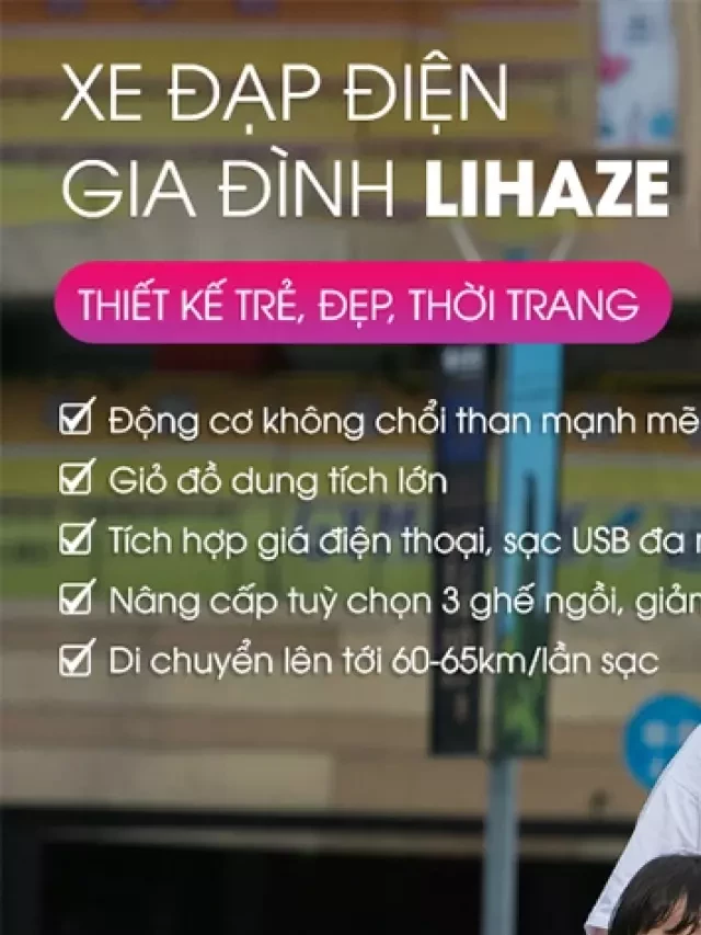   Xe đạp điện gia đình LIHAZE THELI 3 chỗ ngồi: Thiết kế thời trang, giỏ đựng đồ lớn đa tiện ích