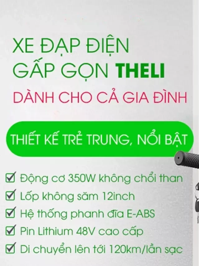   Xe đạp điện THELI gấp gọn cao cấp 3 ghế ngồi cho cả gia đình di chuyển lên tới 120km 1 lần sạc