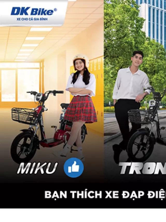   Bảng Giá Xe Đạp Điện DK Bike: Tìm Hiểu Về Sản Phẩm Đa Dạng và Uy Tín