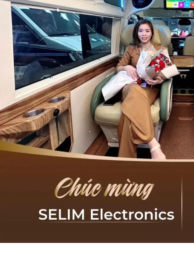   Giá Xe Limousine 9 Chỗ (Hành Khách) Tháng 02/2024 | Dcar Limousine