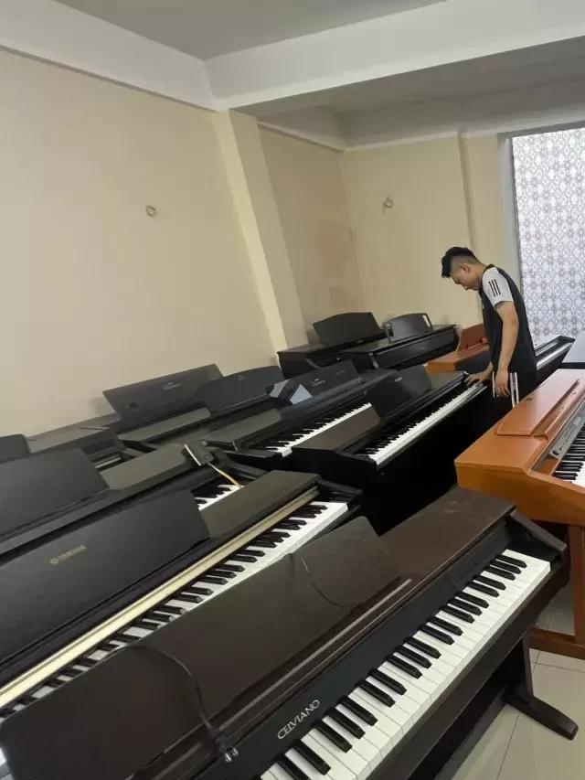   Top 6 Cửa hàng bán Đàn Piano tại Hải Phòng chất lượng nhất