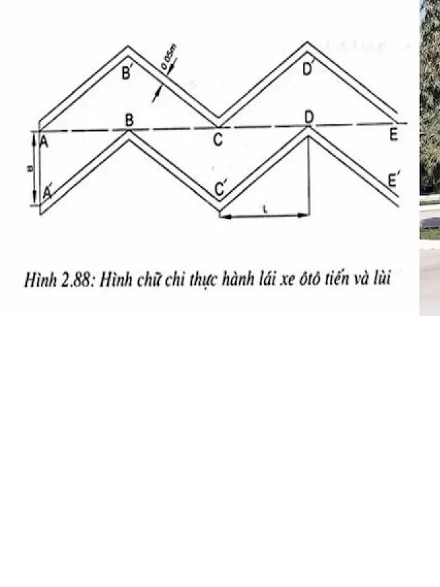   Lái xe hình chữ chi theo cách nào đúng chuẩn nhất?