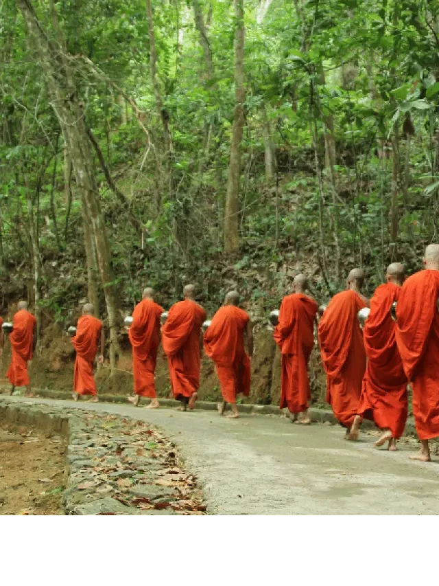   Tinh tấn: Ý nghĩa, lợi ích và cách rèn luyện