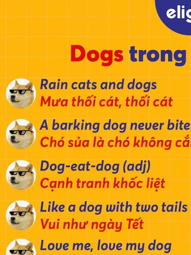   15 Thành Ngữ Tiếng Anh với từ “Chó” Độc Đáo và Hấp Dẫn!