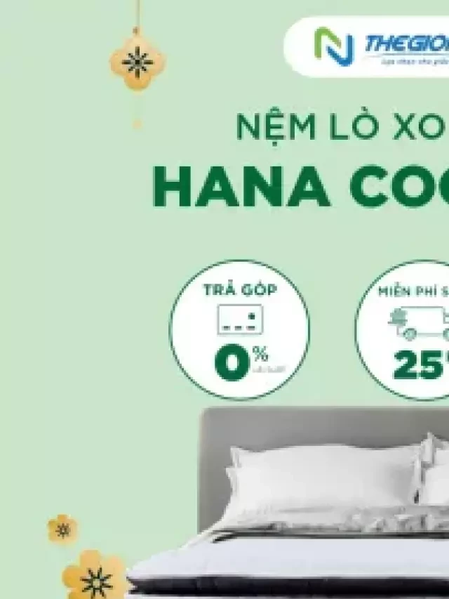   Nghệ sĩ nên mua nệm lò xo túi độc lập tại Thegioinem.com