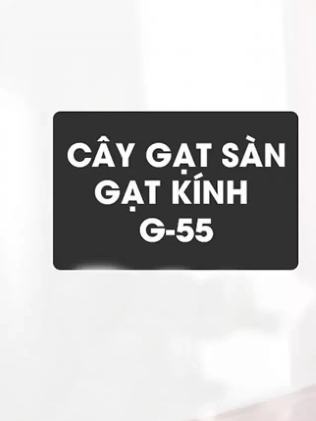   Cây Gạt Nước Sàn: Dụng cụ vệ sinh không thể thiếu trong gia đình