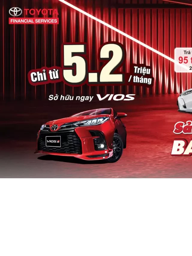   TOYOTA HIROSHIMA TÂN CẢNG – HT