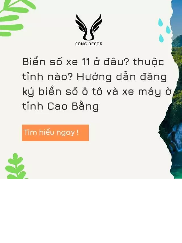   Biển số xe 11 thuộc tỉnh Cao Bằng - Hướng dẫn đăng ký biển số ô tô và xe máy