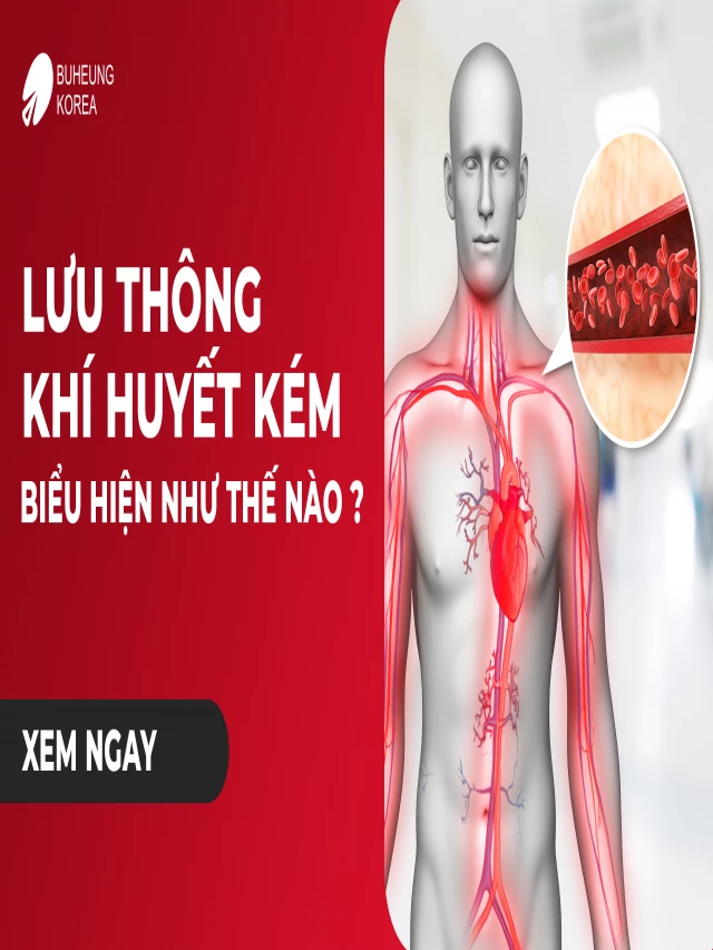   Lưu Thông Khí Huyết Kém: Biểu Hiện và Cách Điều Trị