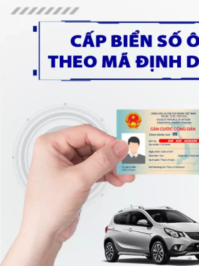   Người sở hữu nhiều xe ô tô, xe máy thì định danh biển số thế nào?