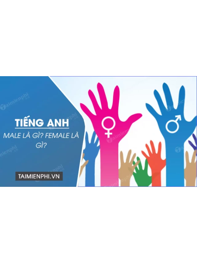   Male và Female: Định nghĩa và ý nghĩa trong tiếng Anh