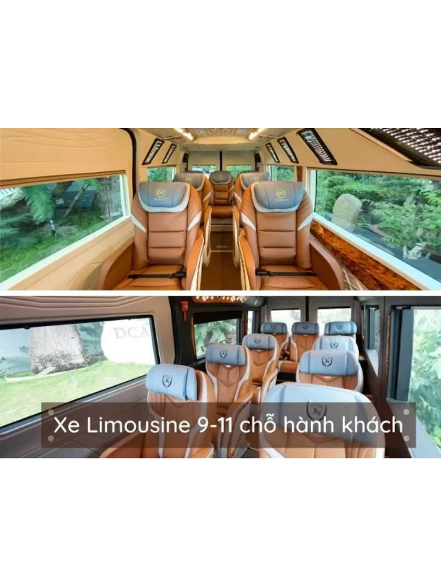   Tư Vấn: Xe Limousine 9 Chỗ Có Hết Đời Không? Niên Hạn Sử Dụng Xe Limousine