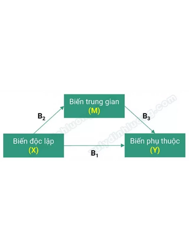   Mô hình biến trung gian, biến điều tiết, biến kiểm soát