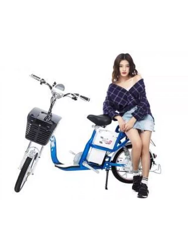   Bảng giá xe đạp điện hkbike (pega) 2023